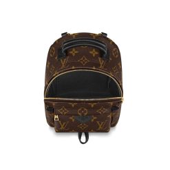 Alternative view of Palm Springs Mini