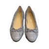 Chanel Ballet Flats Grey For Women