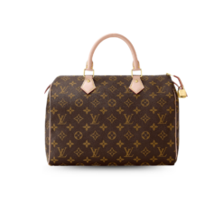 Louis Vuitton Speedy 30 Top Handle Bag 11.8in/ 30cm Brown Monogram Canvas Gold Hardware For Women M41108