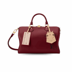 Louis Vuitton Speedy Soft 30 Top Handle Bag 11.8in/30cm Plum Gold Hardware For Women M25766
